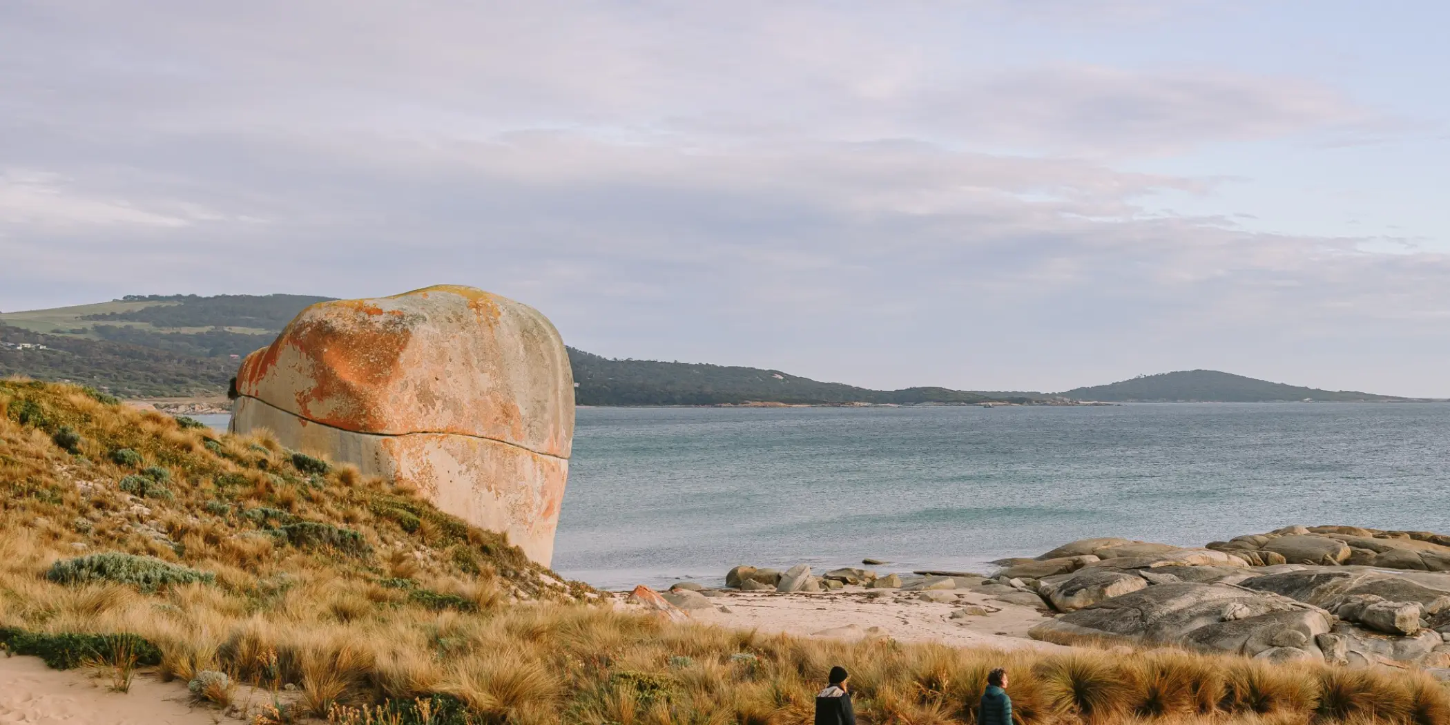 casestudy_flinders_02